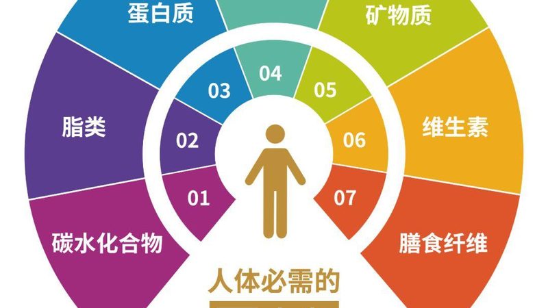 售后服务和市场口碑也是选择儿童营养补充剂代理的重要因素。以下是一些建议：